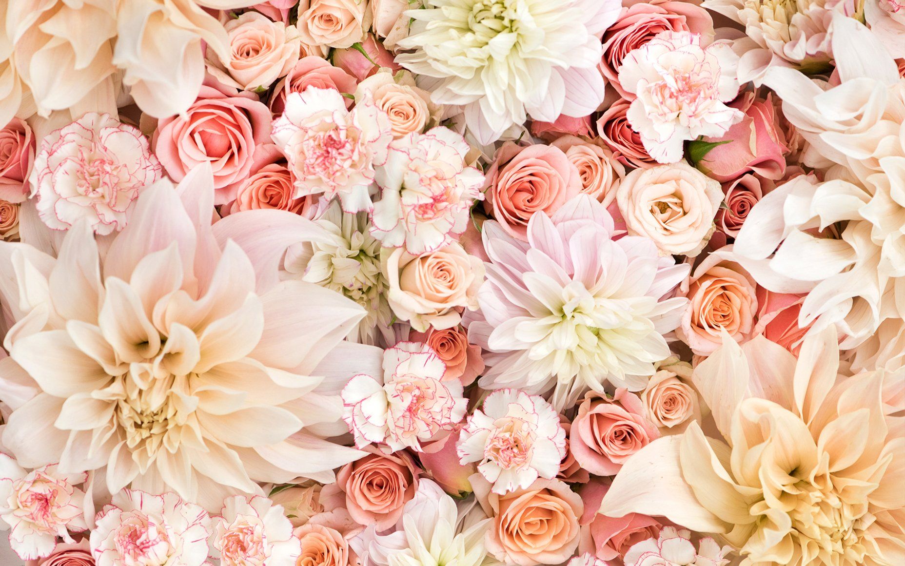 Pastel Pink Floral Wallpapers