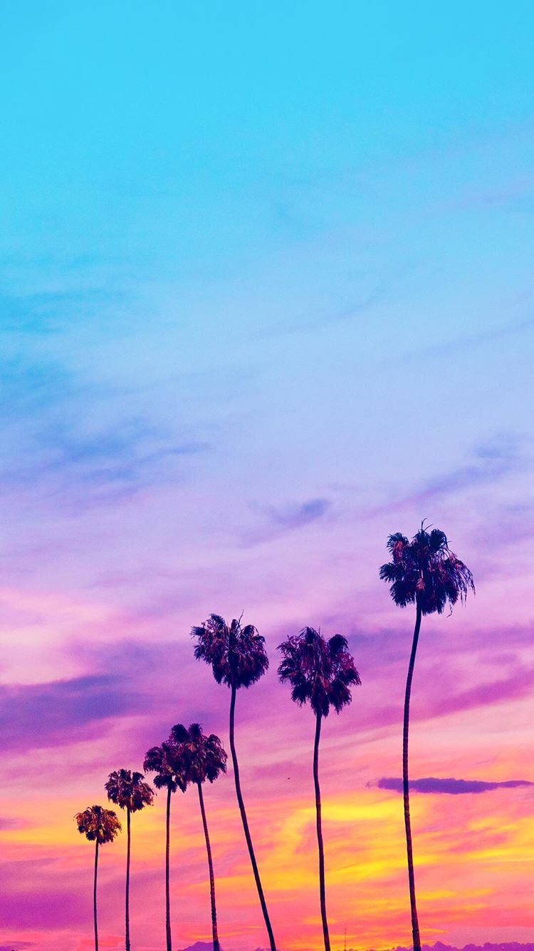 Pastel Sunrise Wallpapers