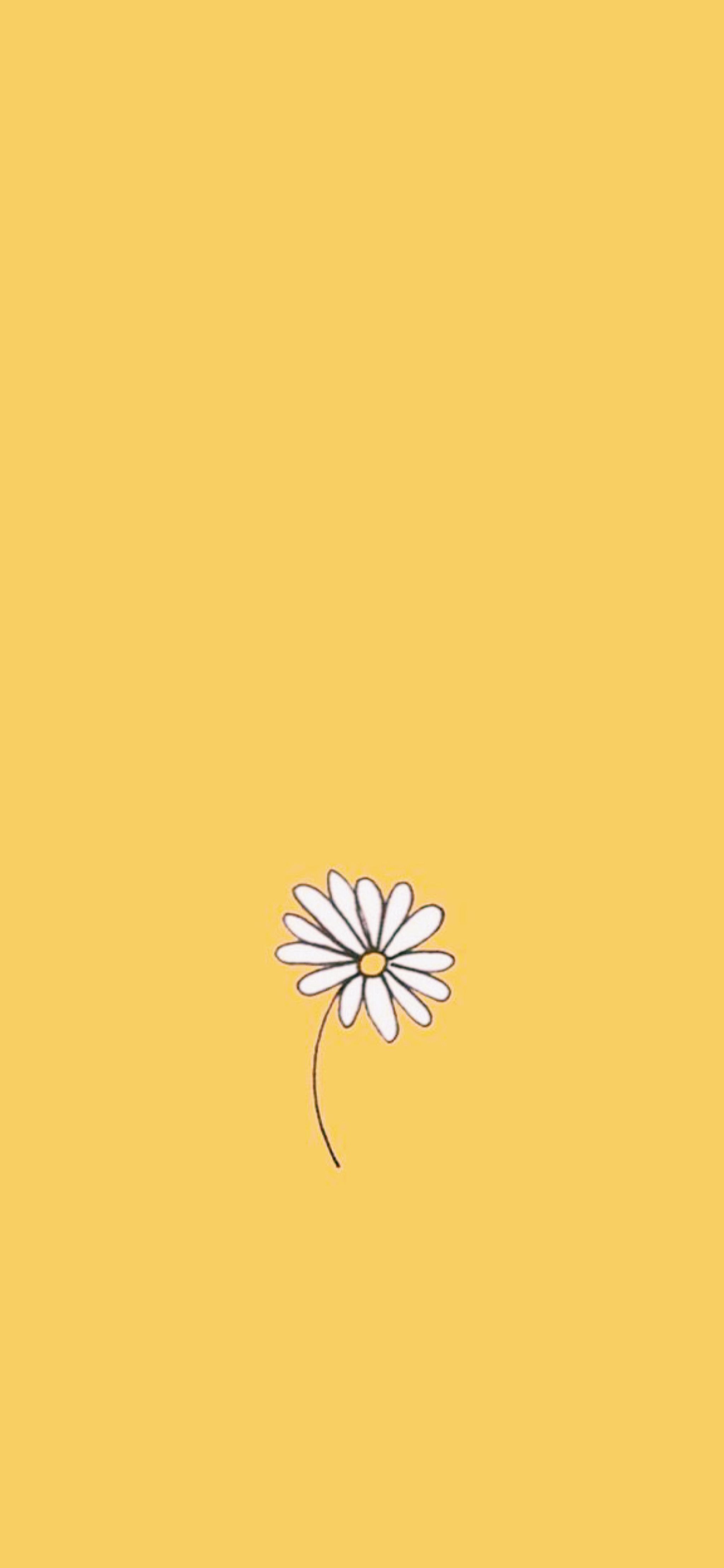 Pastel Yellow Aesthetic Wallpapers