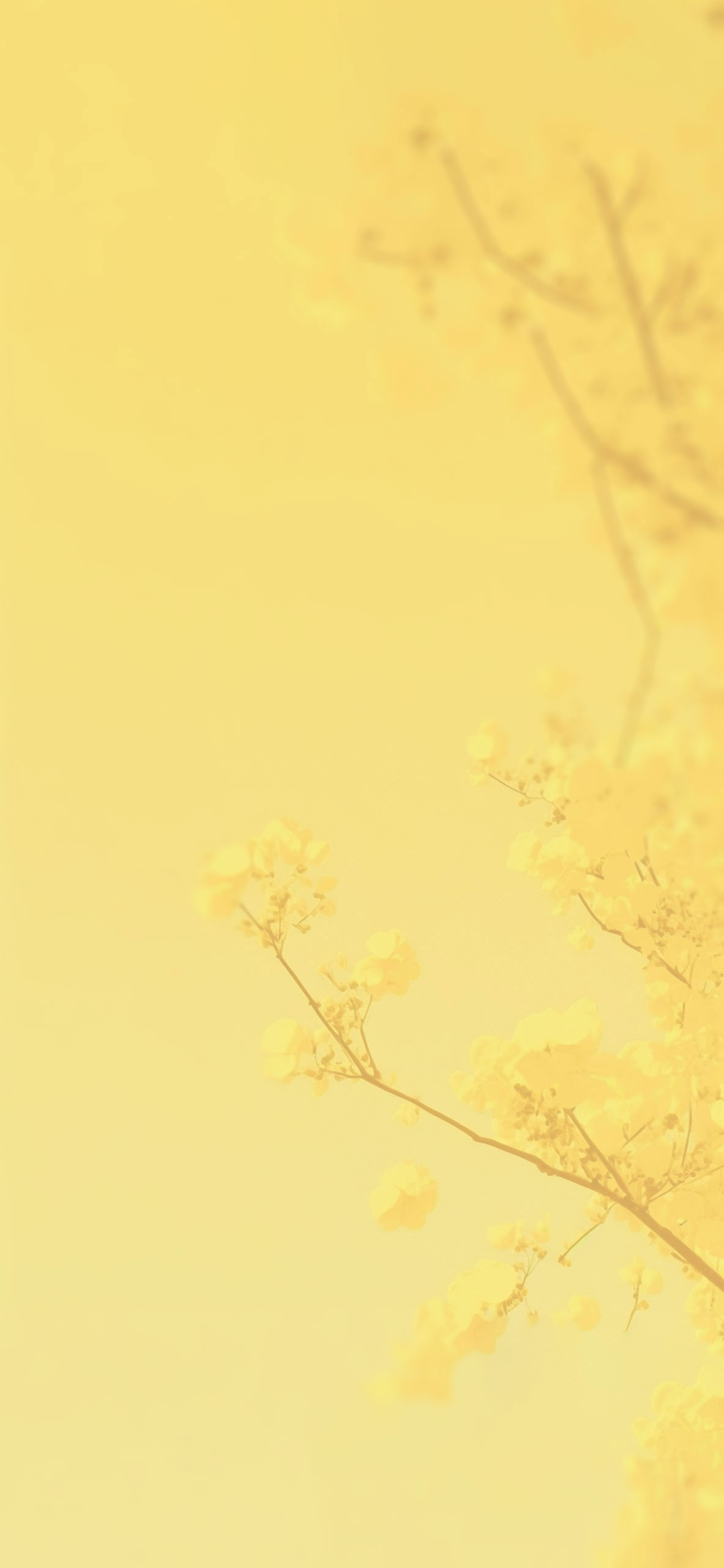 Pastel Yellow Aesthetic Wallpapers