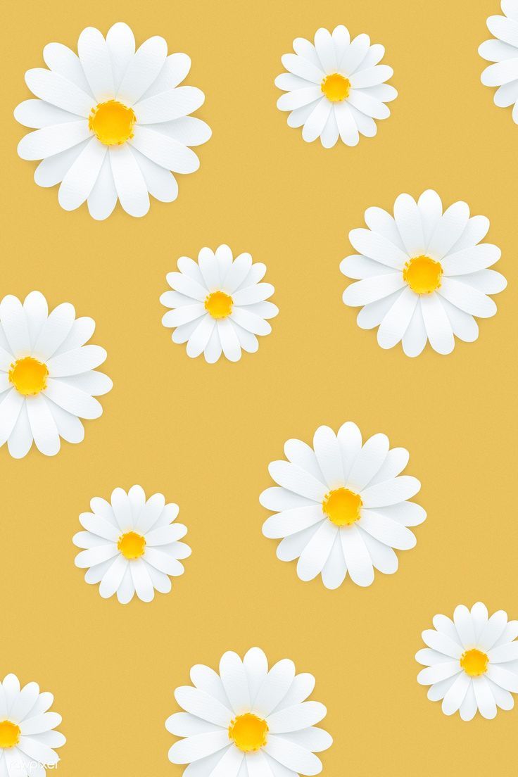 Pastel Yellow Floral Wallpapers