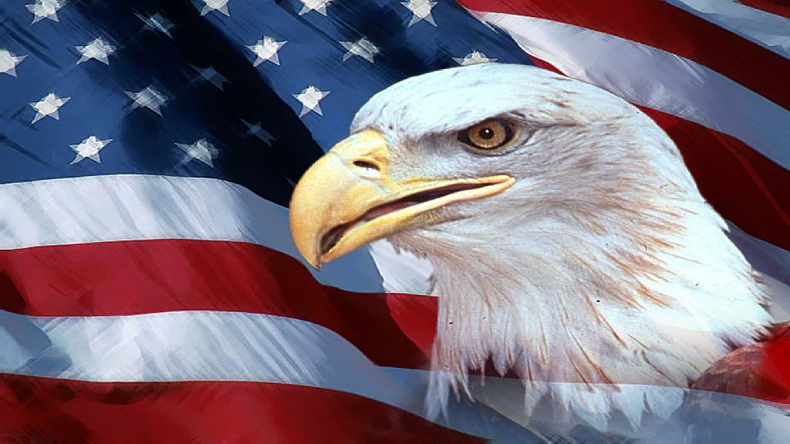 Patriotic Eagle Wallpapers