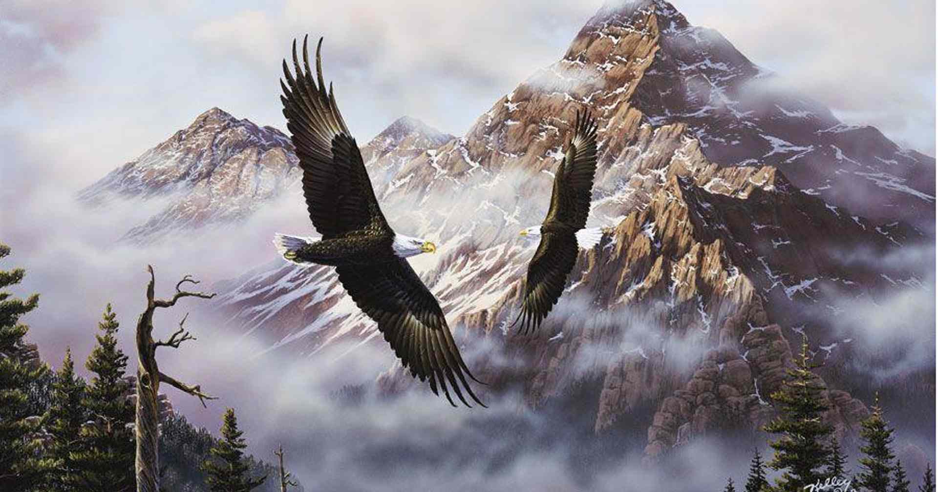 Patriotic Eagle Wallpapers