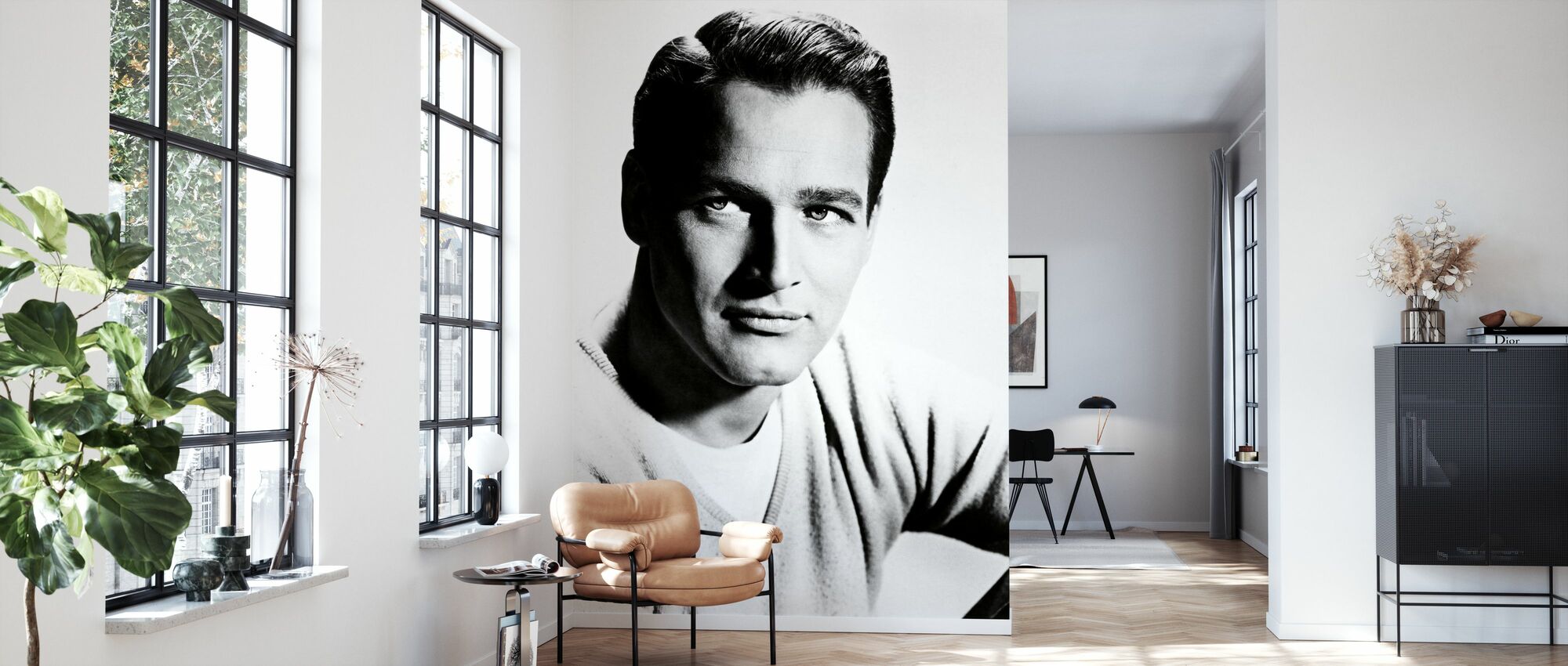 Paul Newman Wallpapers