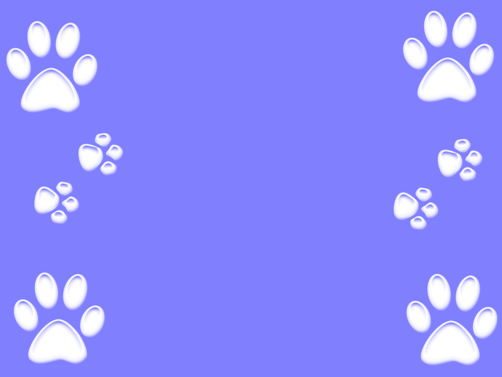 Paw Print Border Wallpapers