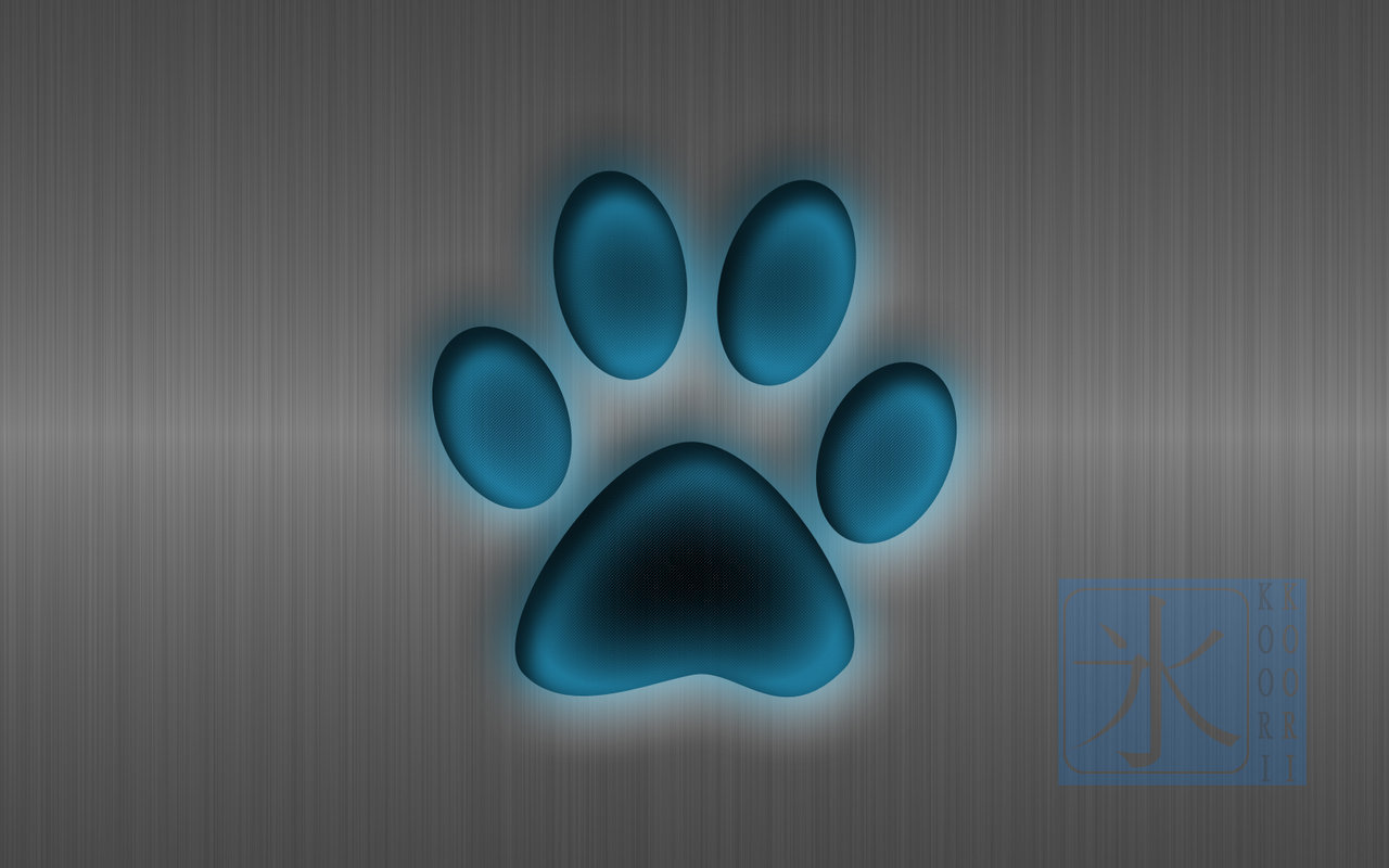 Paw Print Border Wallpapers