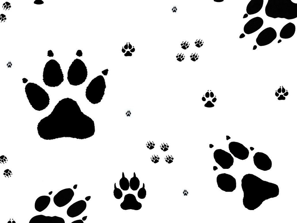 Paw Print Border Wallpapers