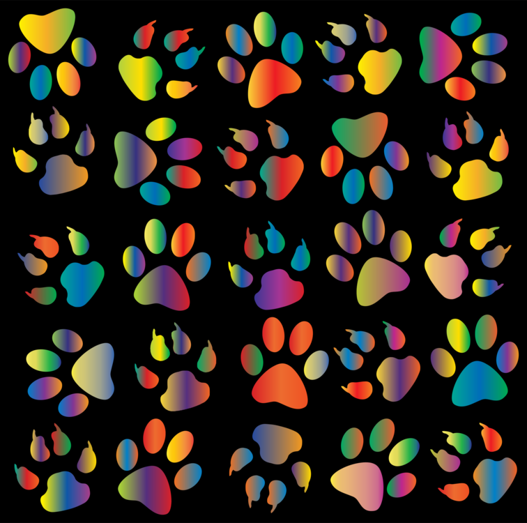 Paw Print Border Wallpapers