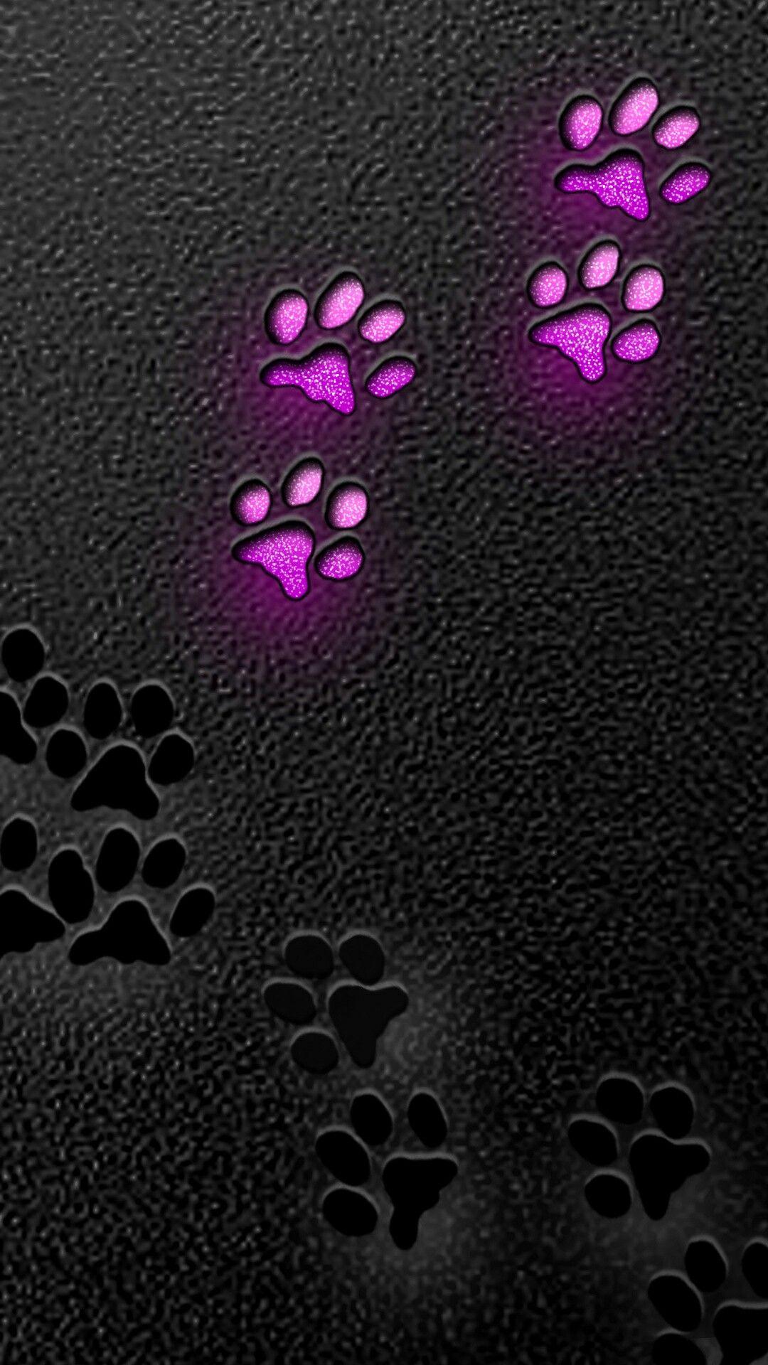 Paw Print For Iphone Wallpapers