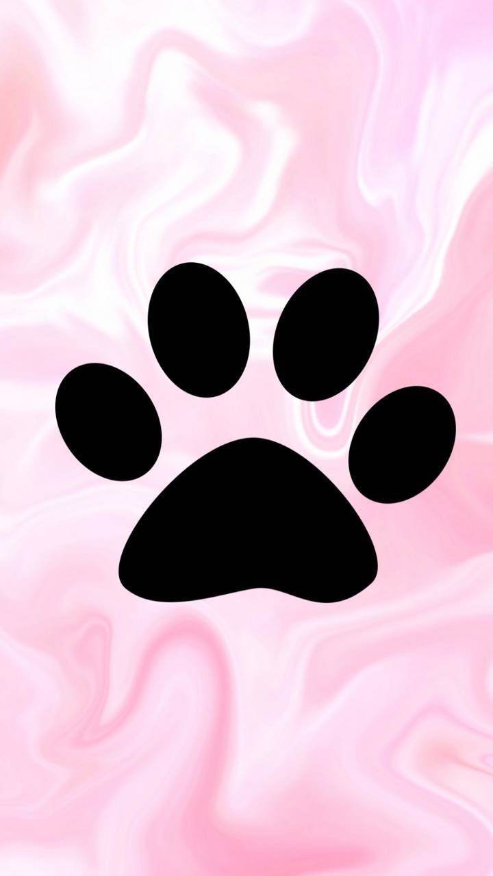 Paw Print For Iphone Wallpapers