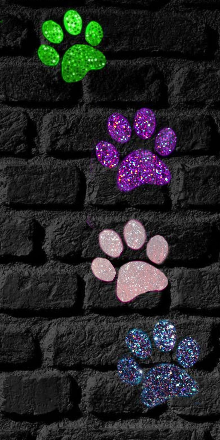 Paw Print For Iphone Wallpapers