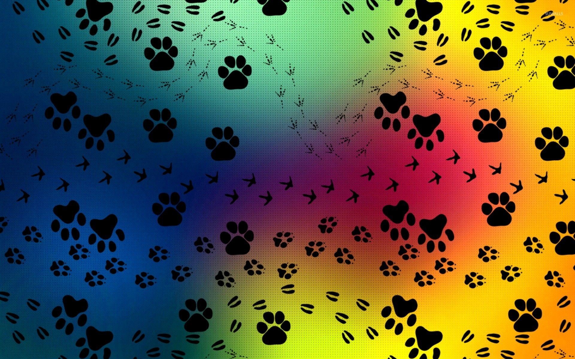 Paw Wallpapers