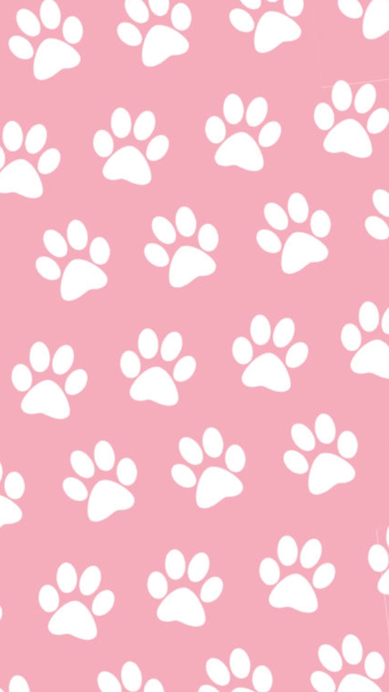 Paw Wallpapers