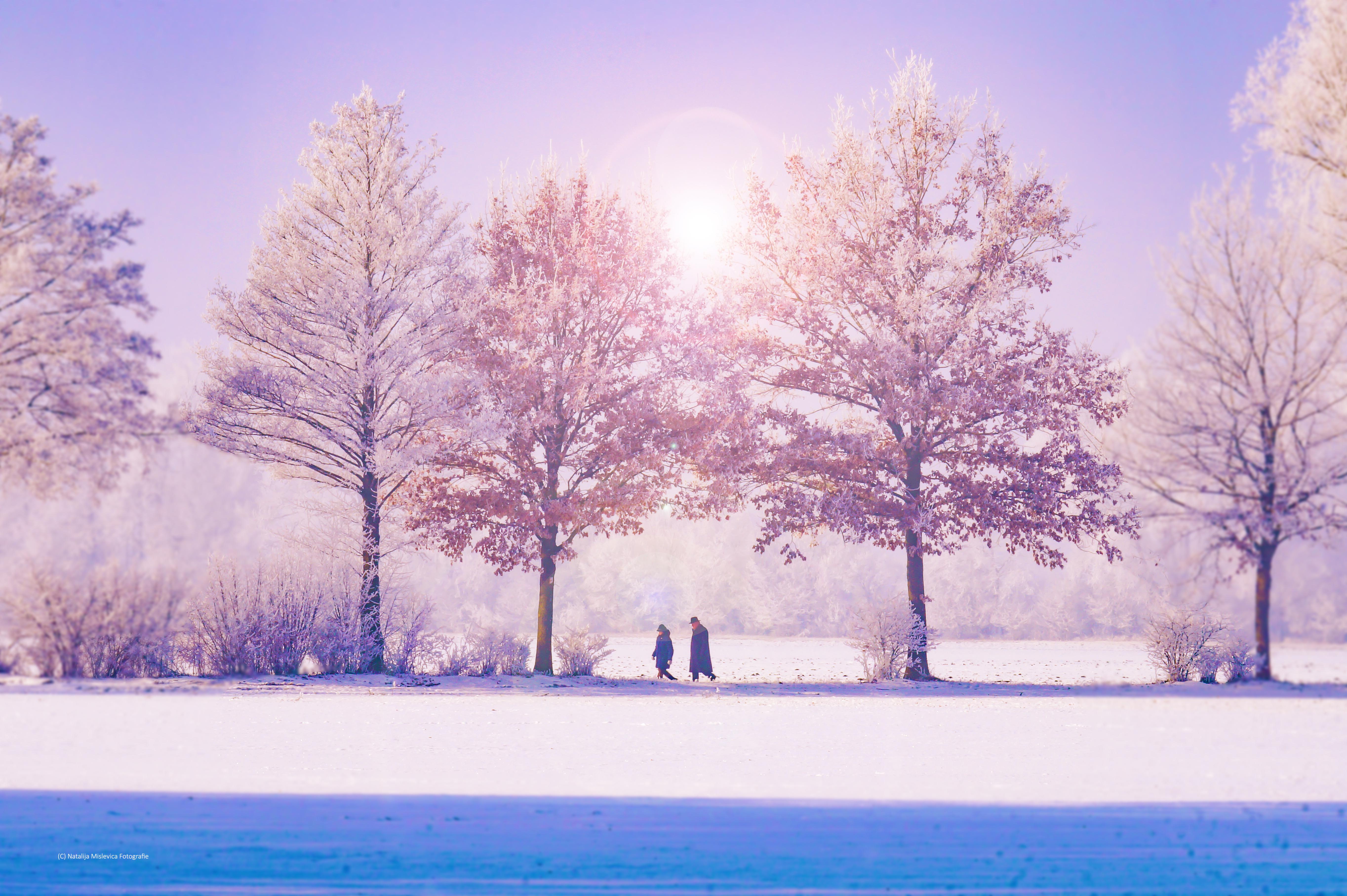 Peaceful Winter Images Wallpapers