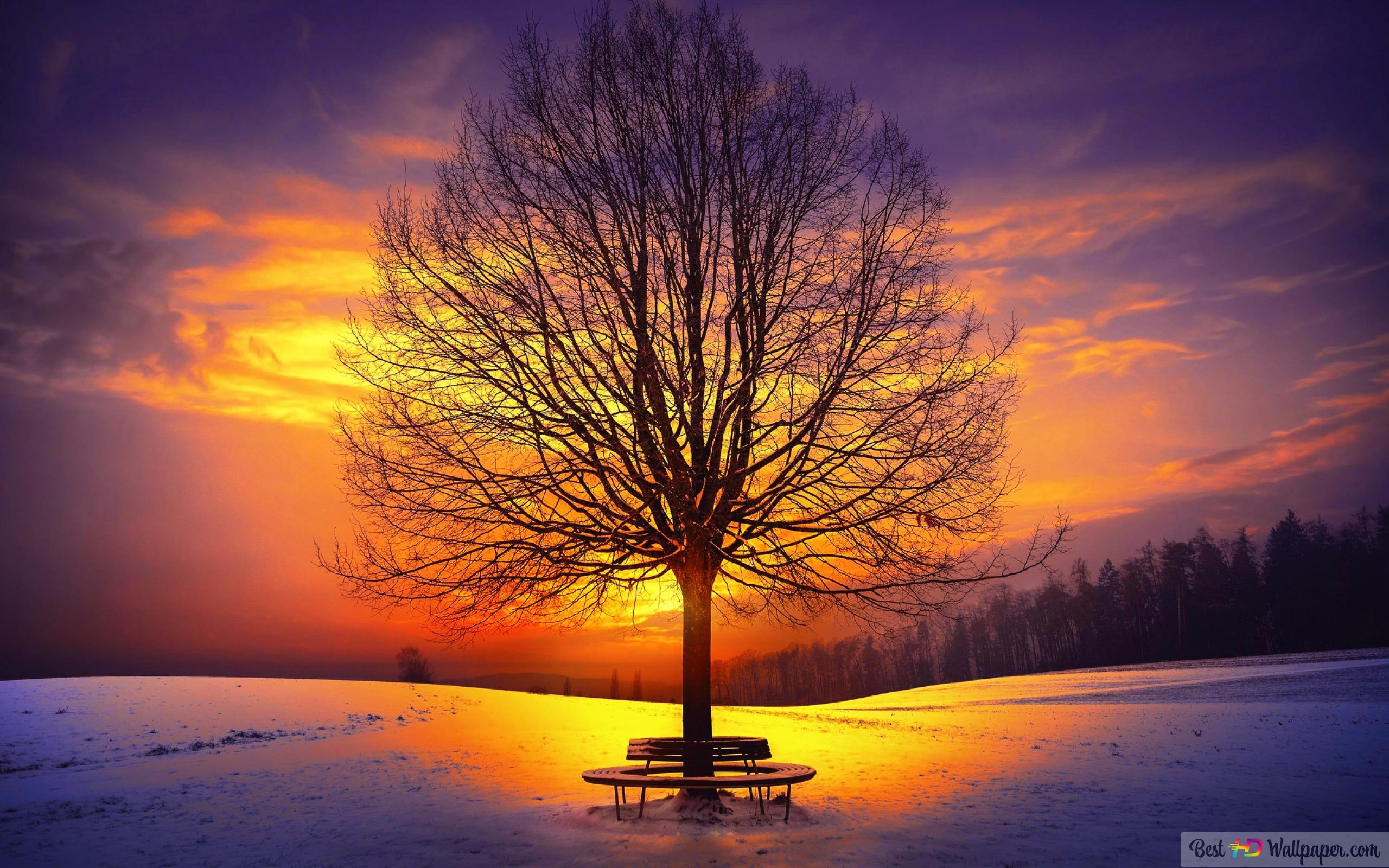 Peaceful Winter Images Wallpapers