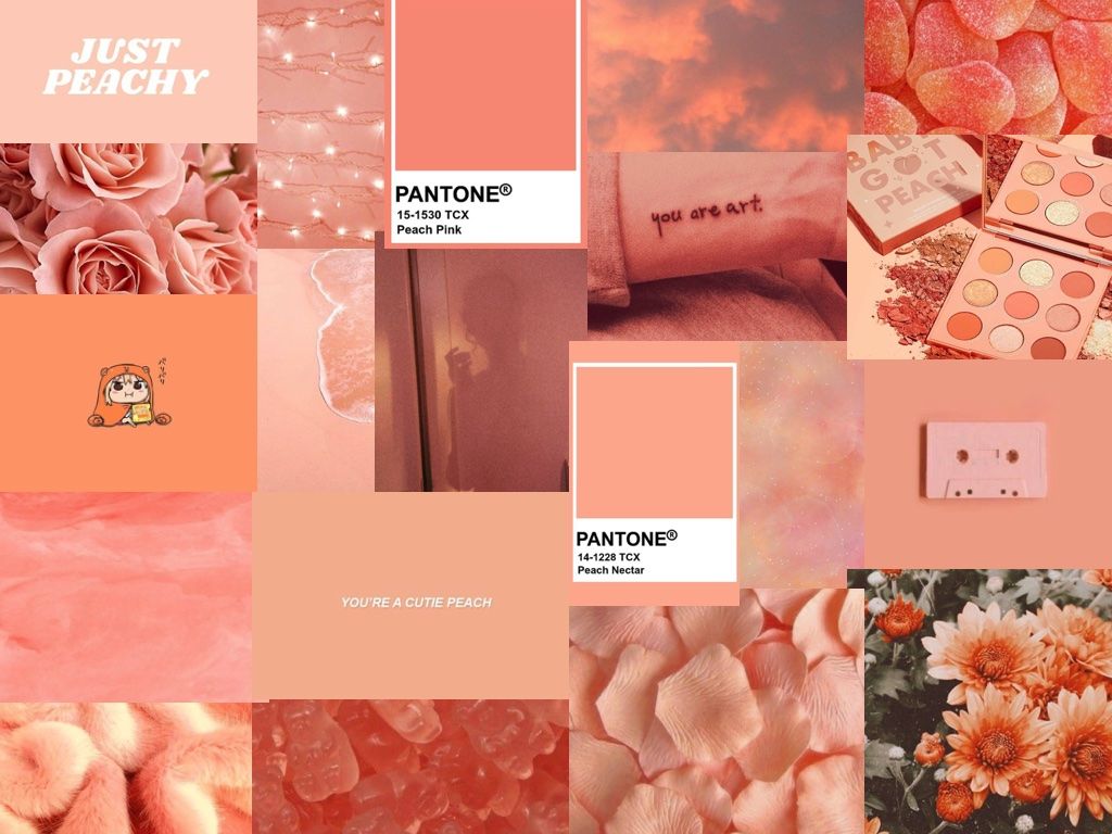 Peach Aesthetic Wallpapers