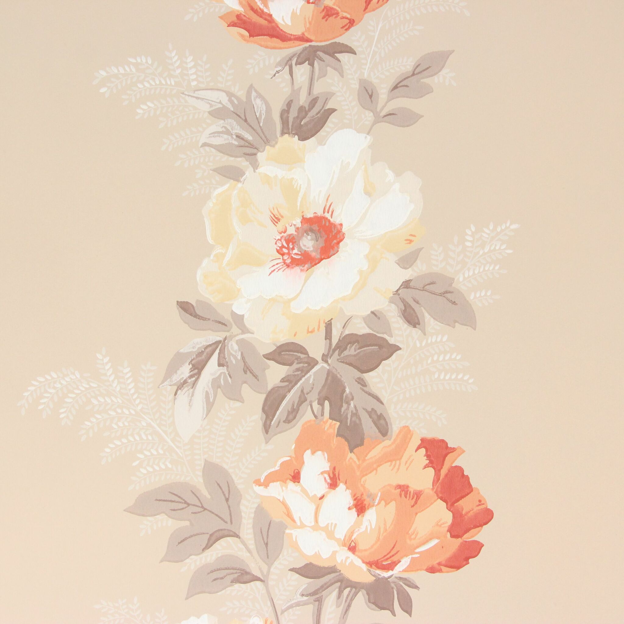 Peach Phone Background