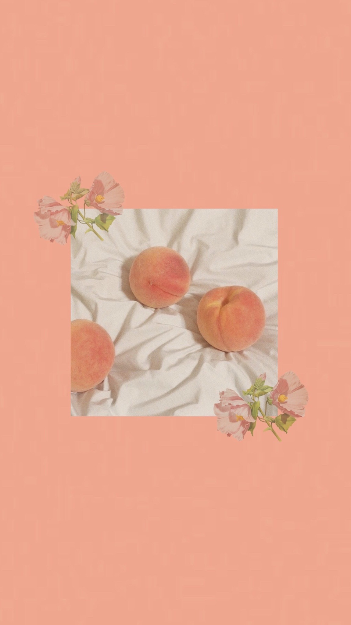 Peach Wallpapers