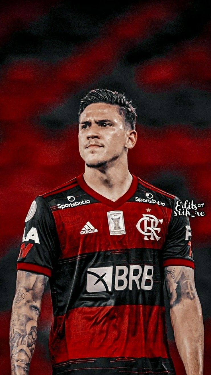 Pedro Guilherme Wallpapers