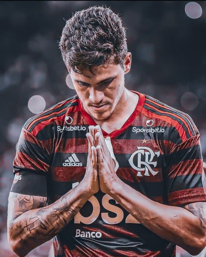 Pedro Guilherme Wallpapers