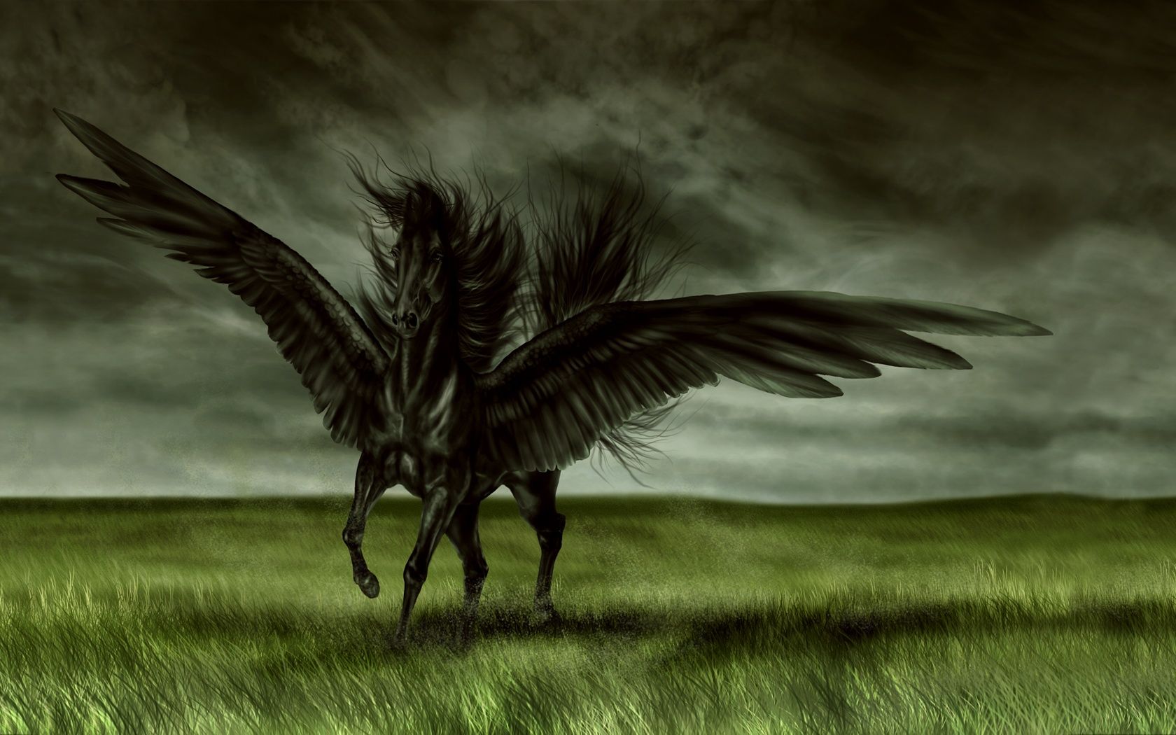 Pegasus Black Wallpapers