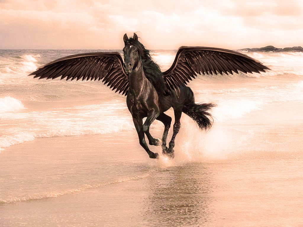 Pegasus Black Wallpapers