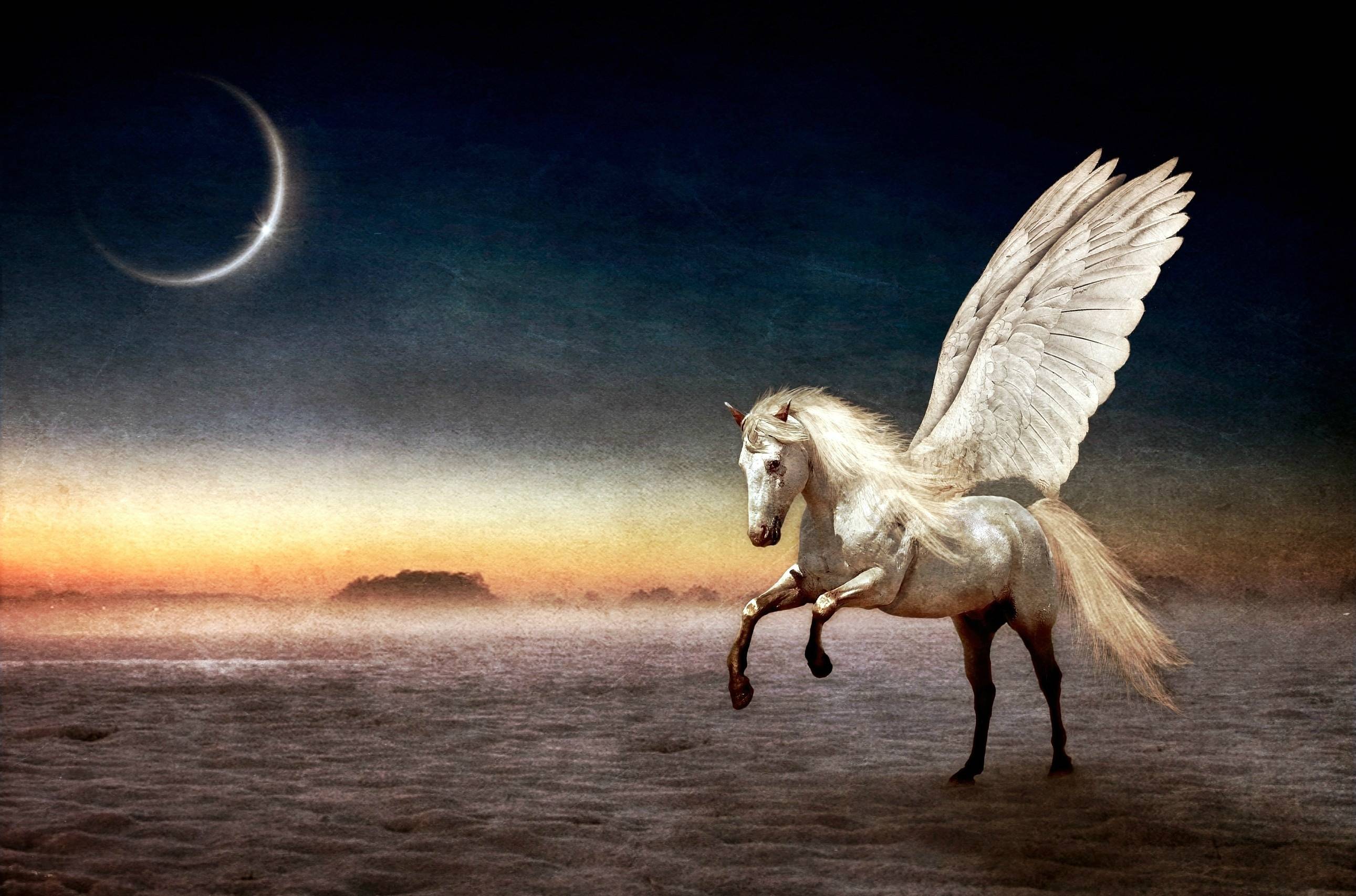 Pegasus Black Wallpapers