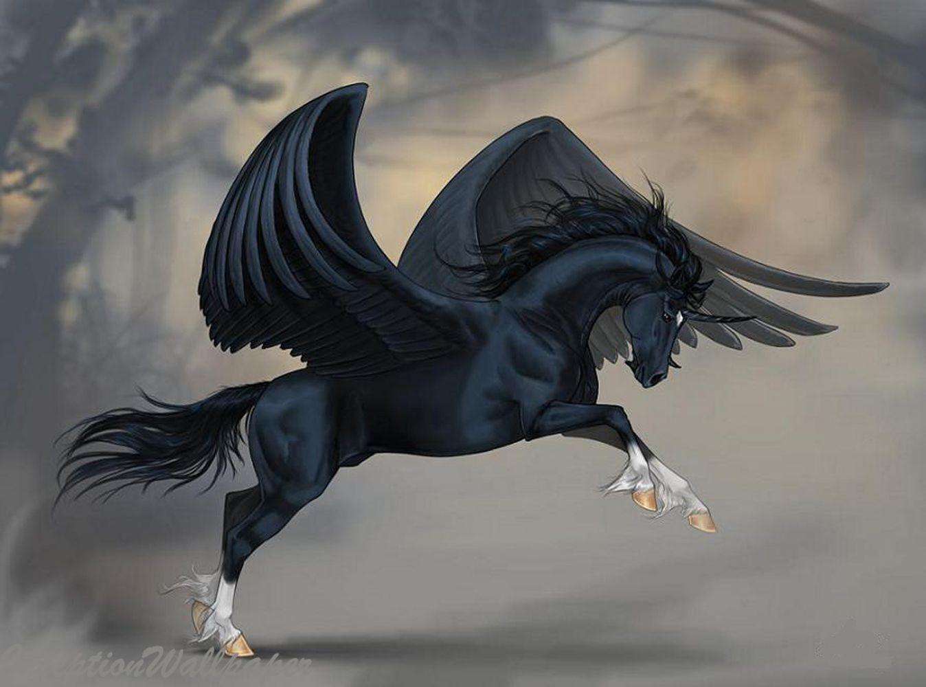 Pegasus Black Wallpapers