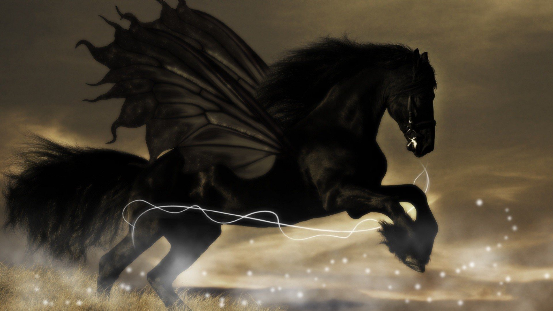 Pegasus Black Wallpapers