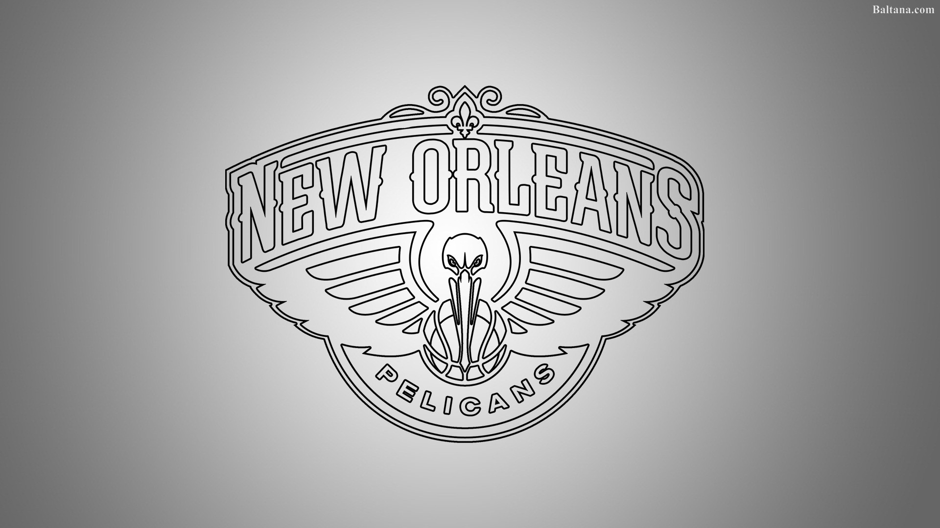 Pelicans Wallpapers