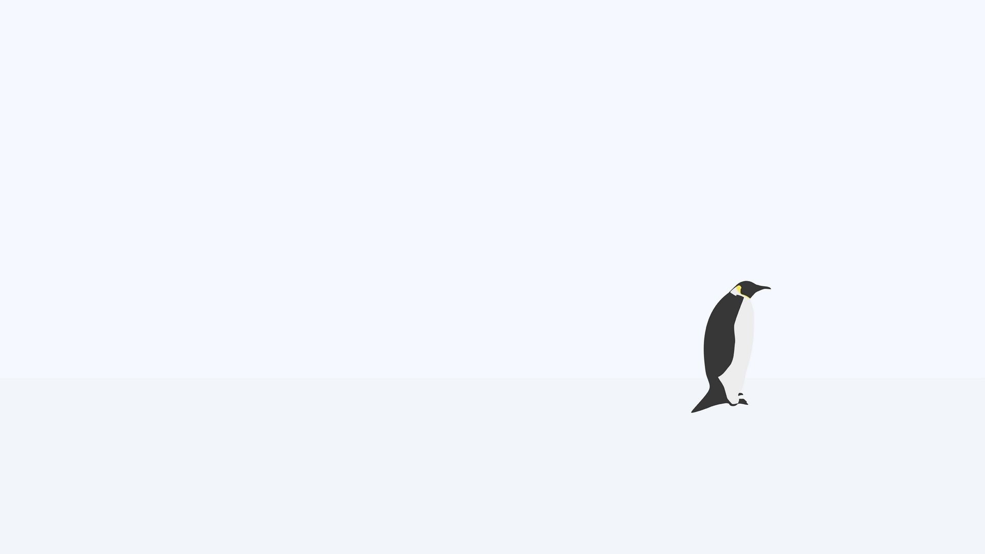 Penguin Background