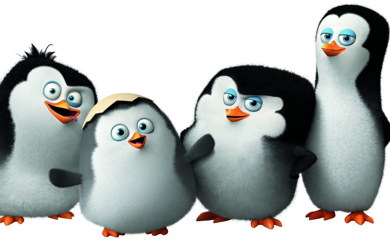 Penguins Of Madagascar Wallpapers