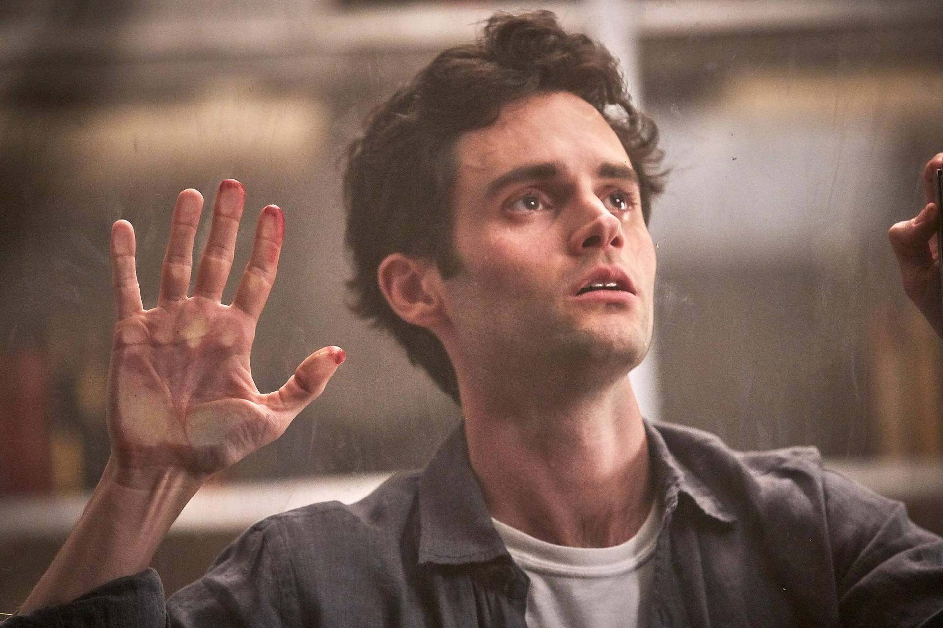 Penn Badgley In Netflix You Wallpapers