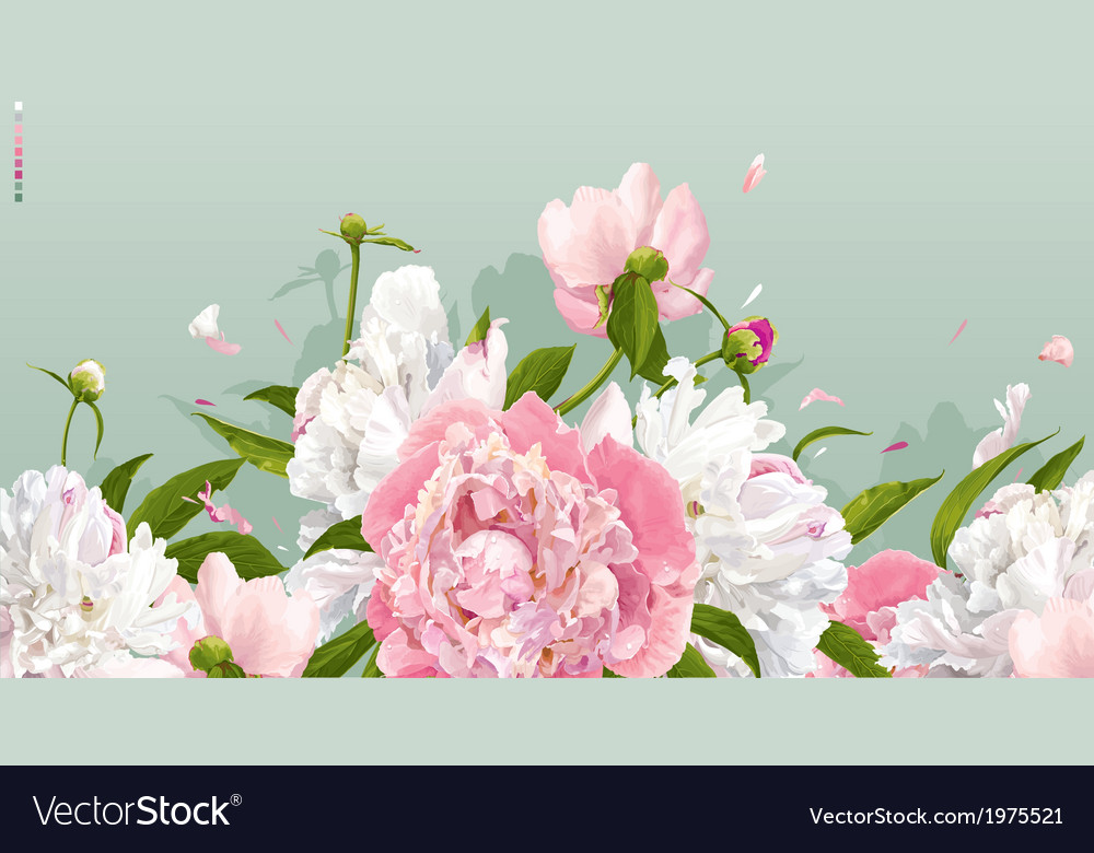 Peony Wallpapers