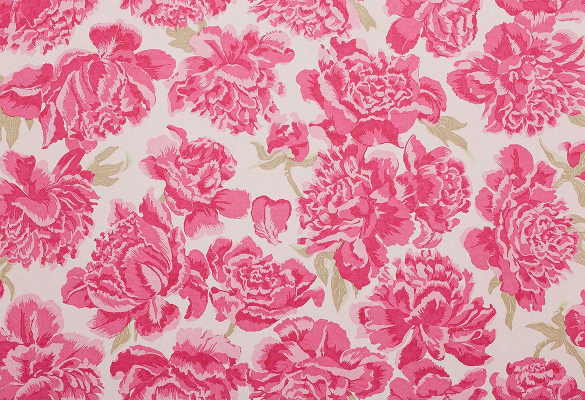 Peony Wallpapers