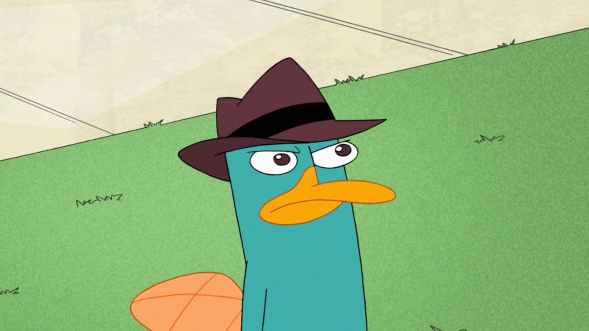 Perry The Platypus Wallpapers