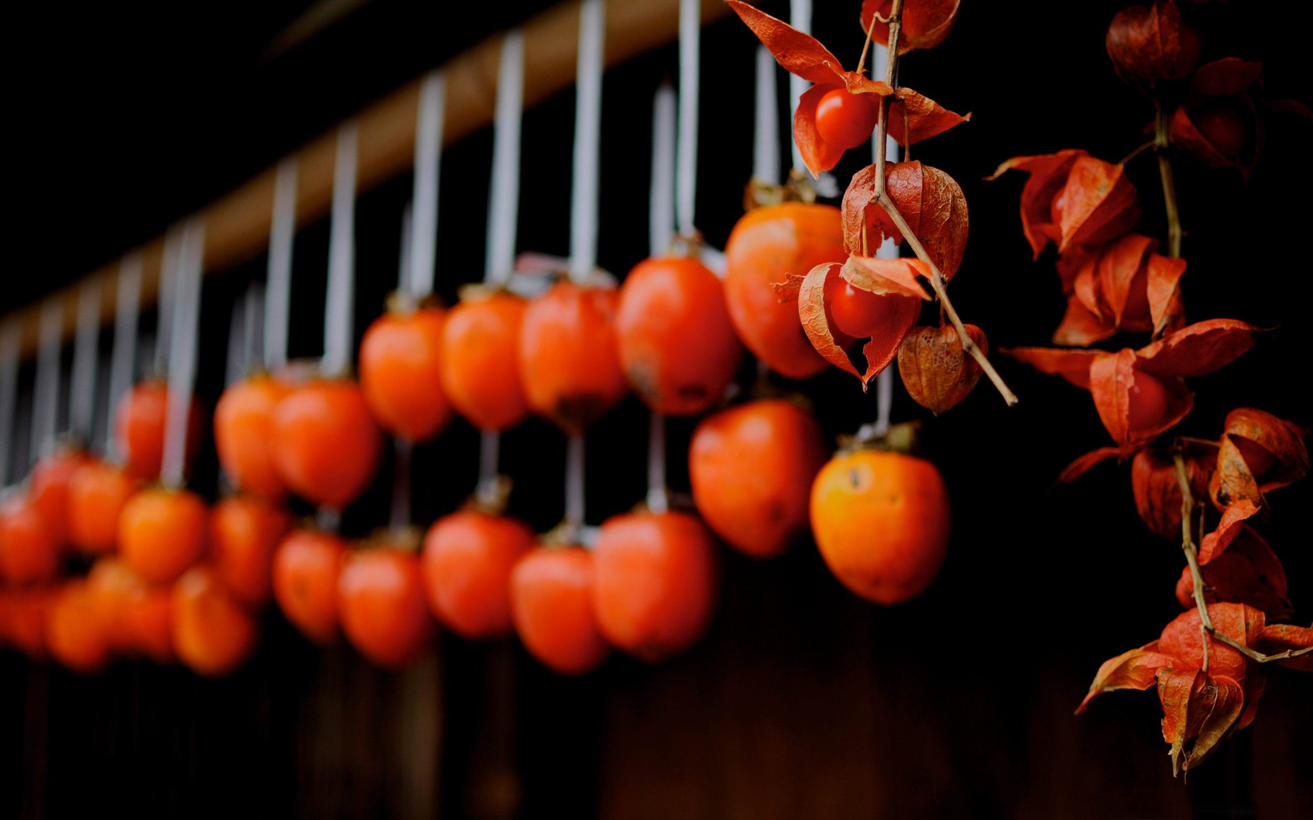 Persimmon Wallpapers