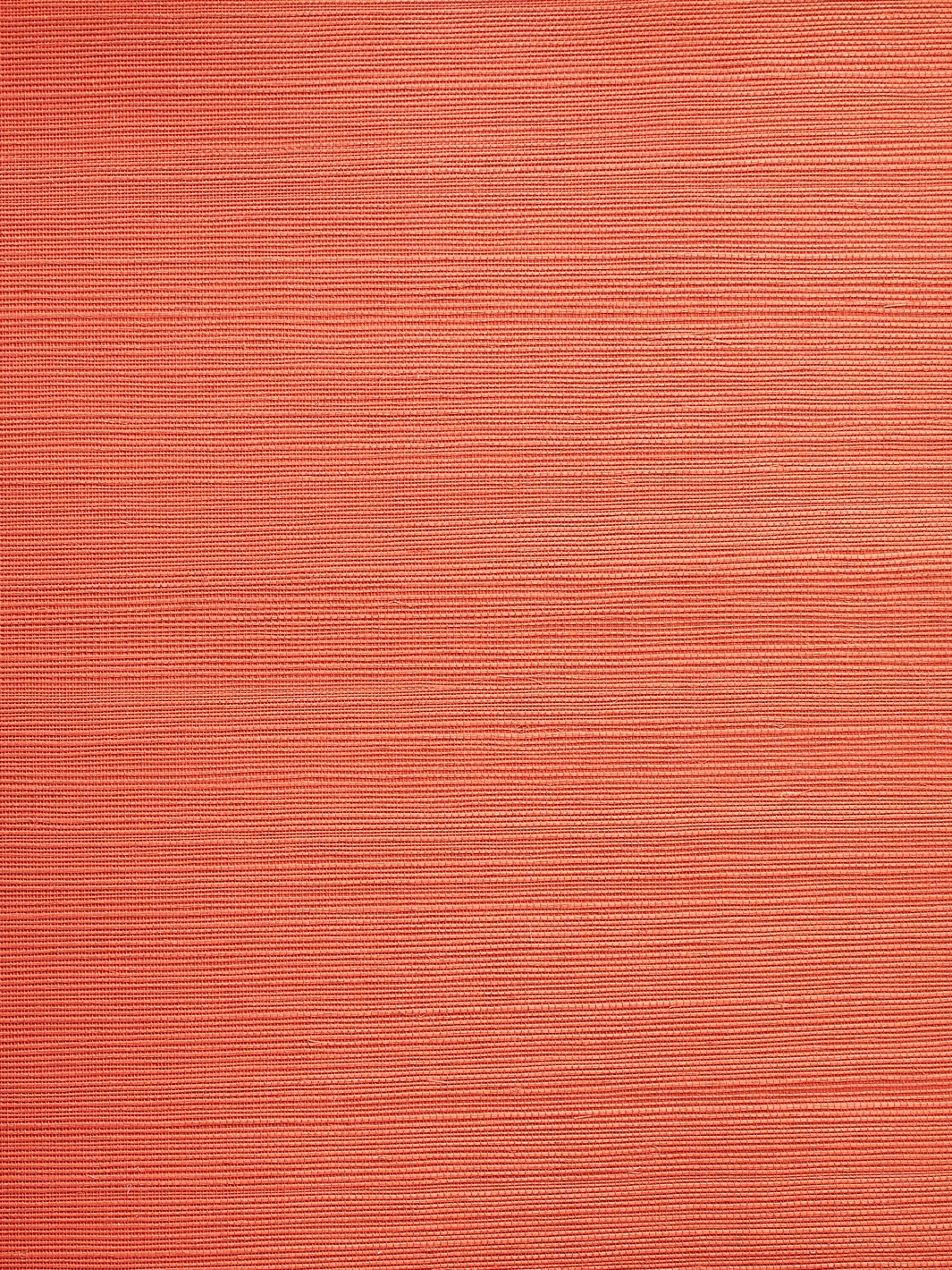 Persimmon Wallpapers