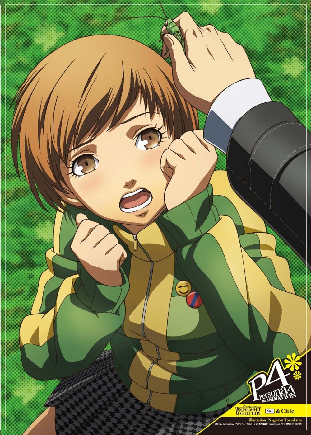 Persona 4 Chie Wallpapers