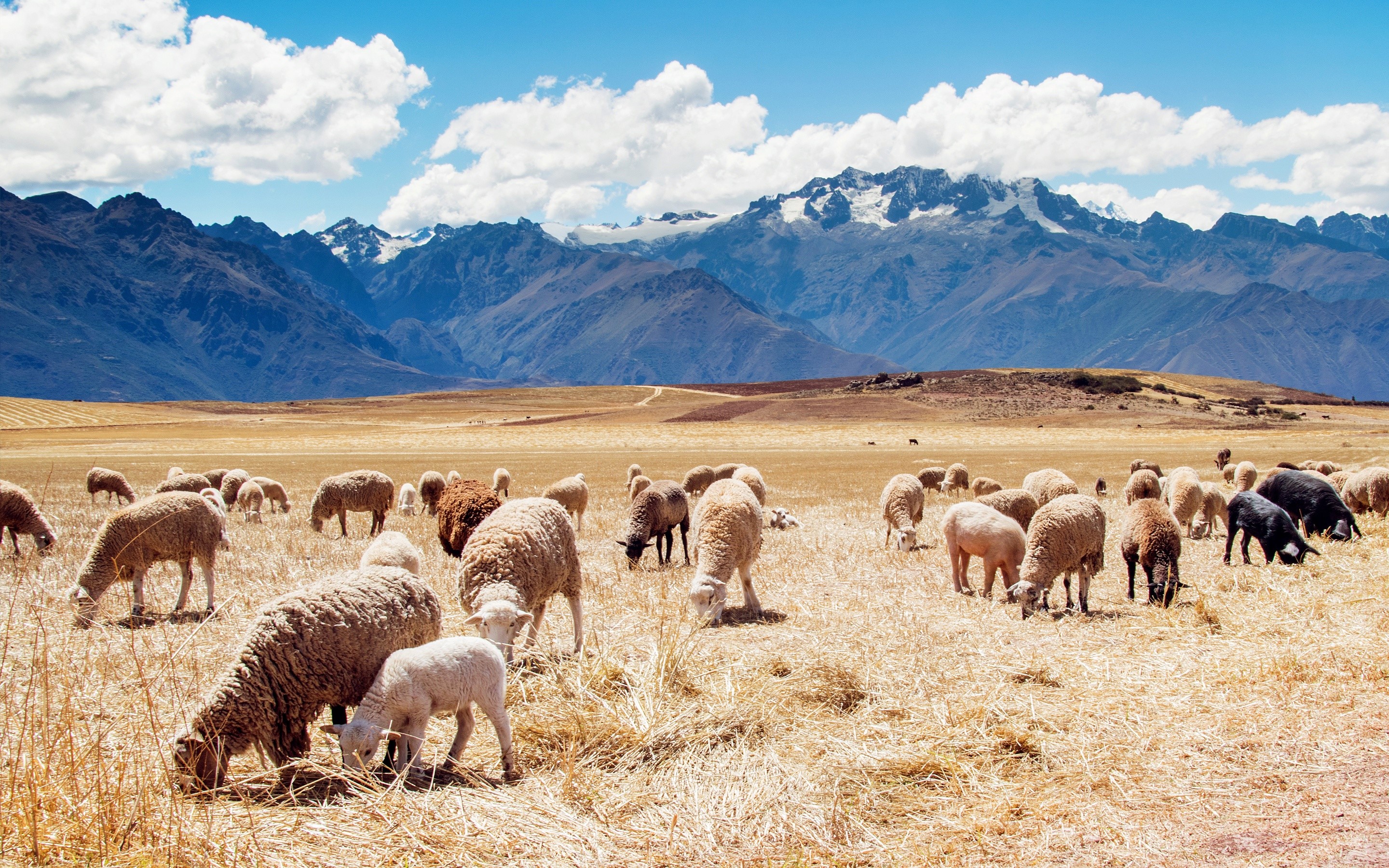 Peru Wallpapers