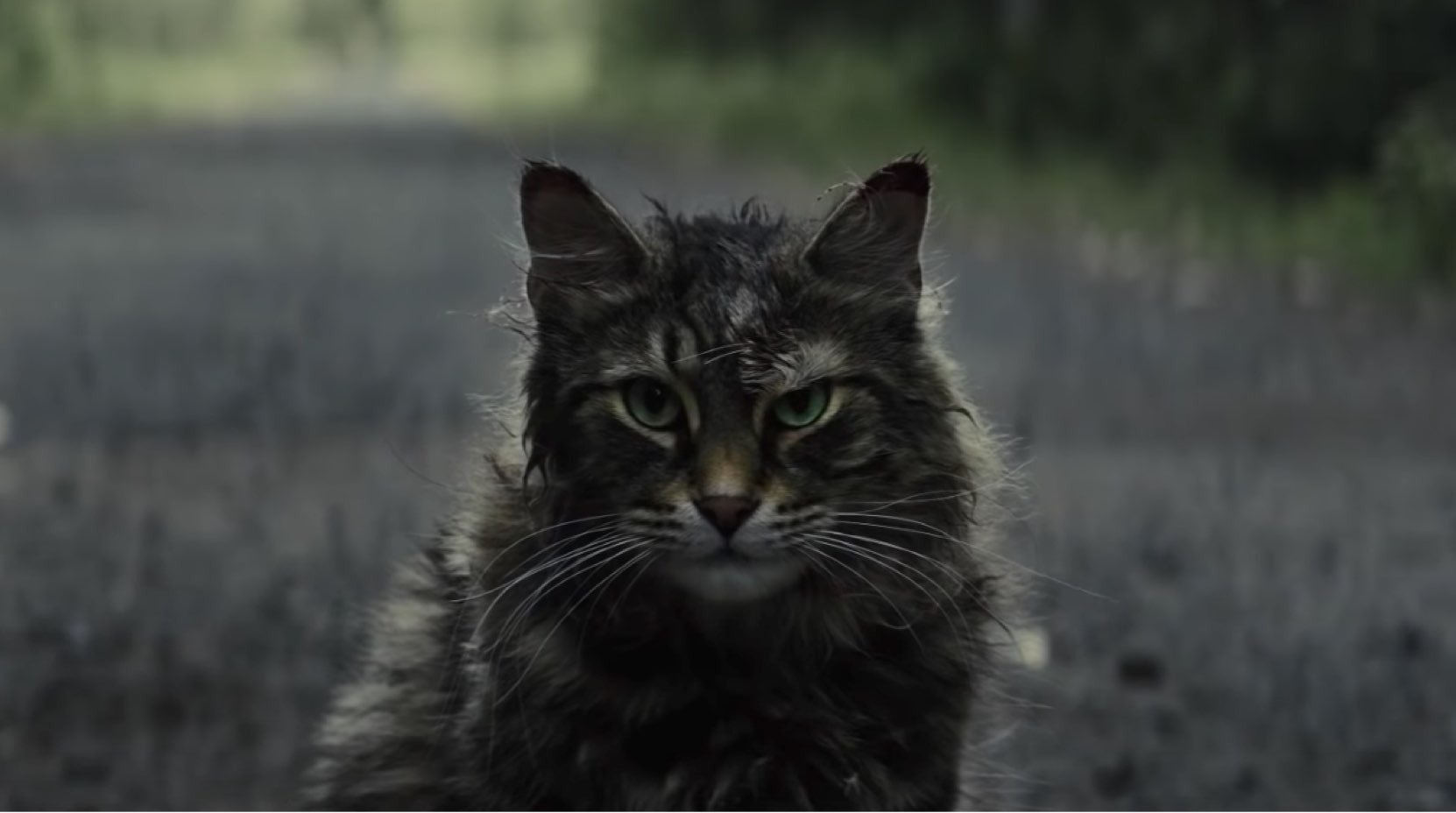 Pet Sematary 2019 Movie Wallpapers