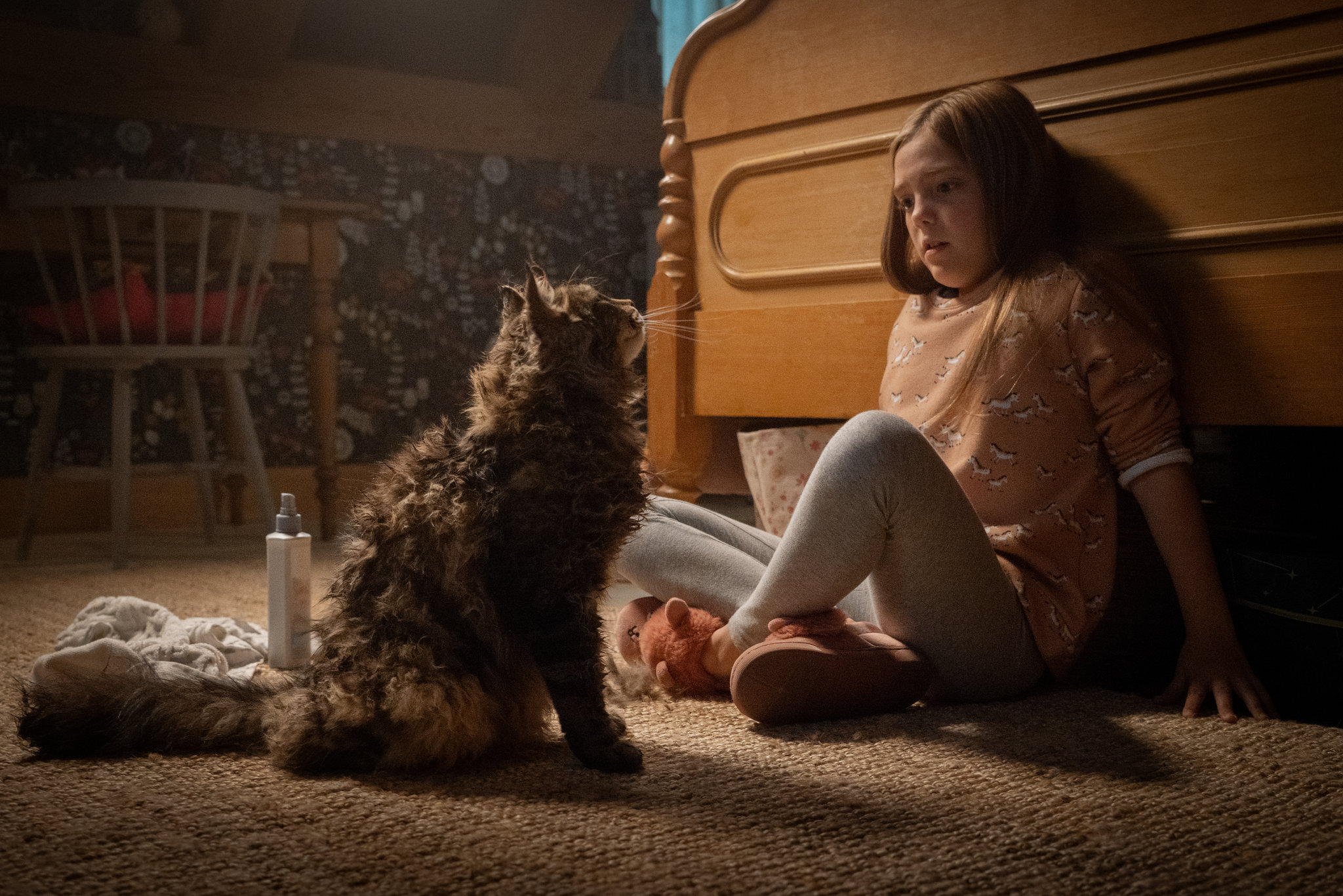 Pet Sematary 2019 Movie Wallpapers