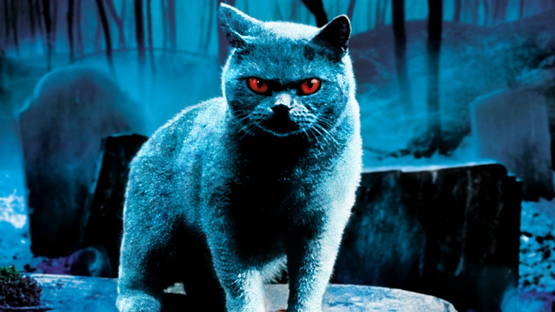 Pet Sematary Wallpapers