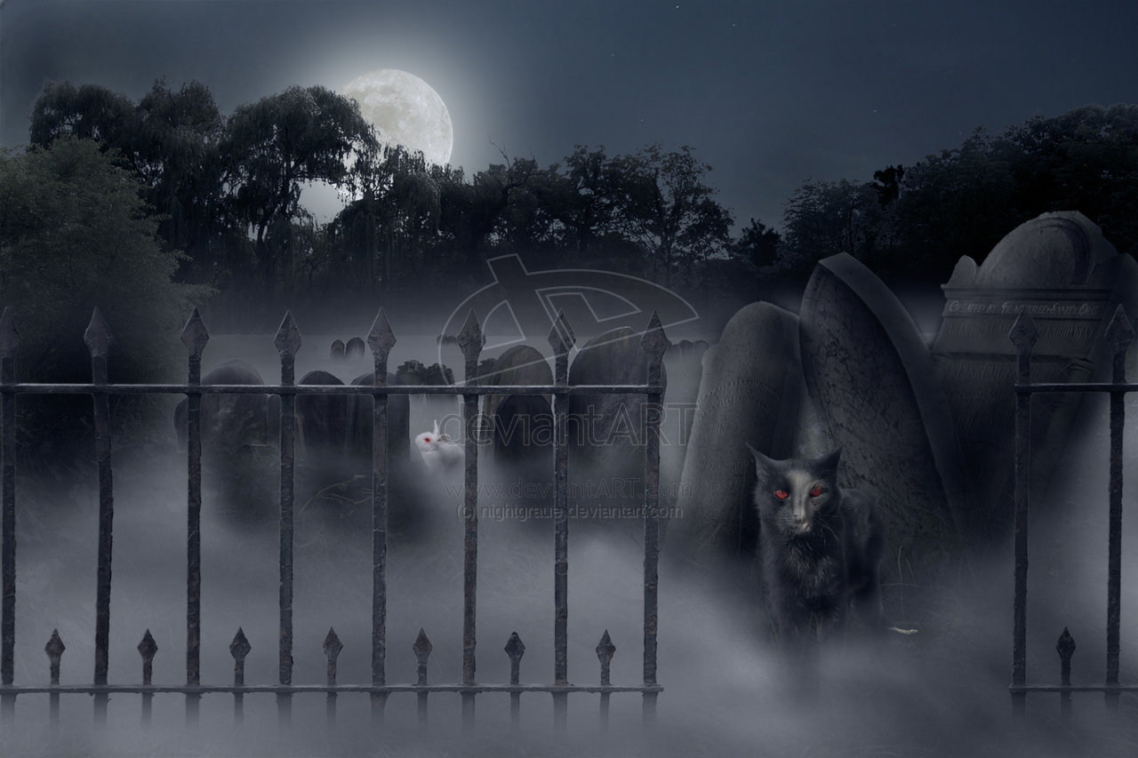 Pet Sematary Wallpapers