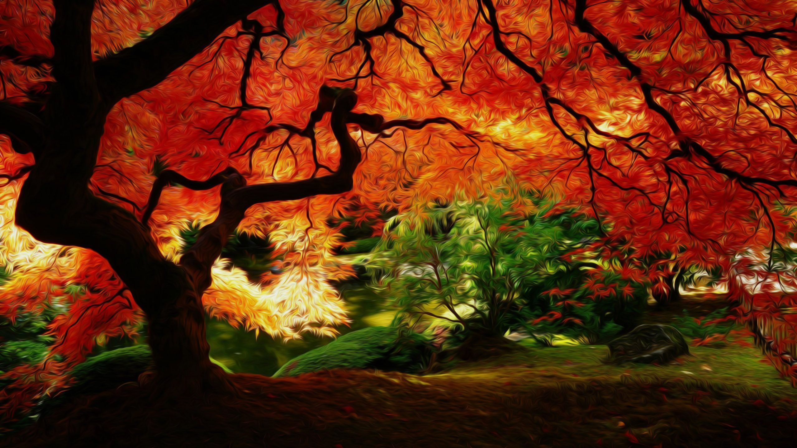 Peter Lik Wallpapers