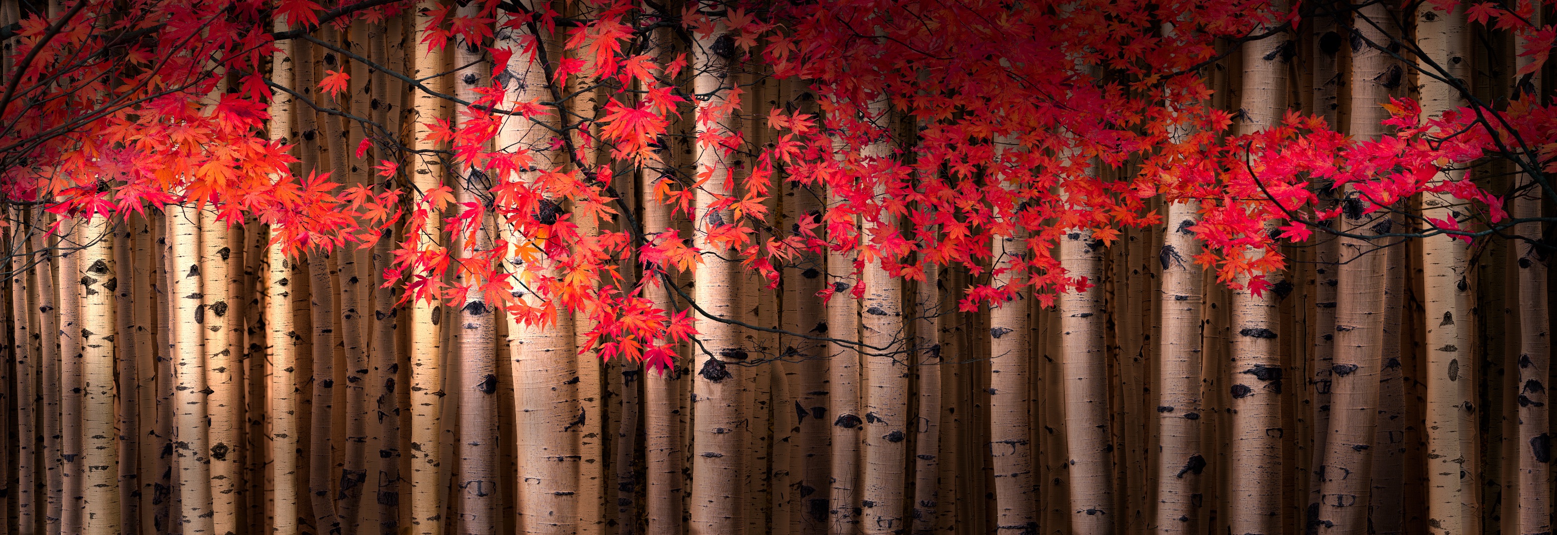 Peter Lik Wallpapers