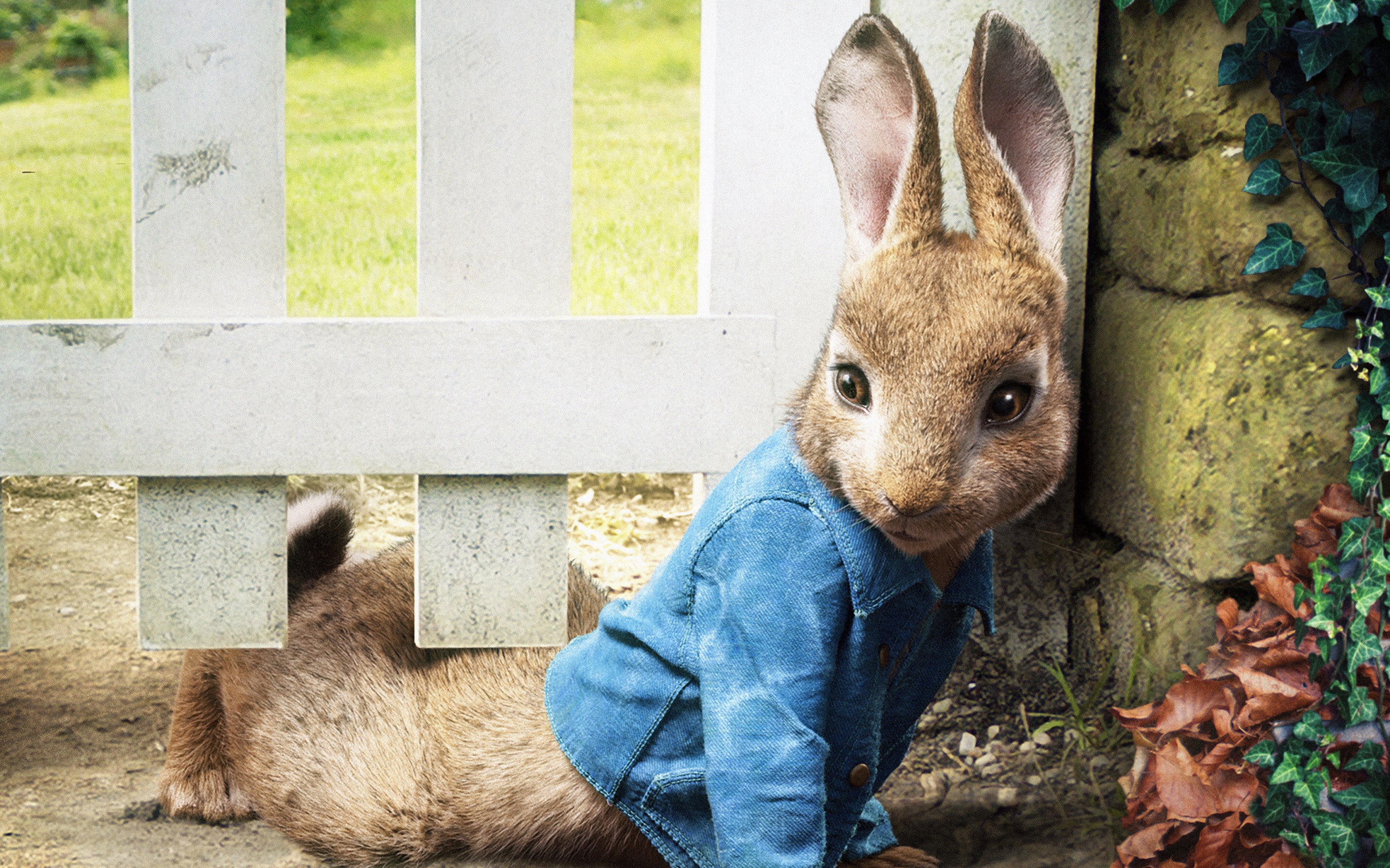 Peter Rabbit 2018 Movie Poster Wallpapers