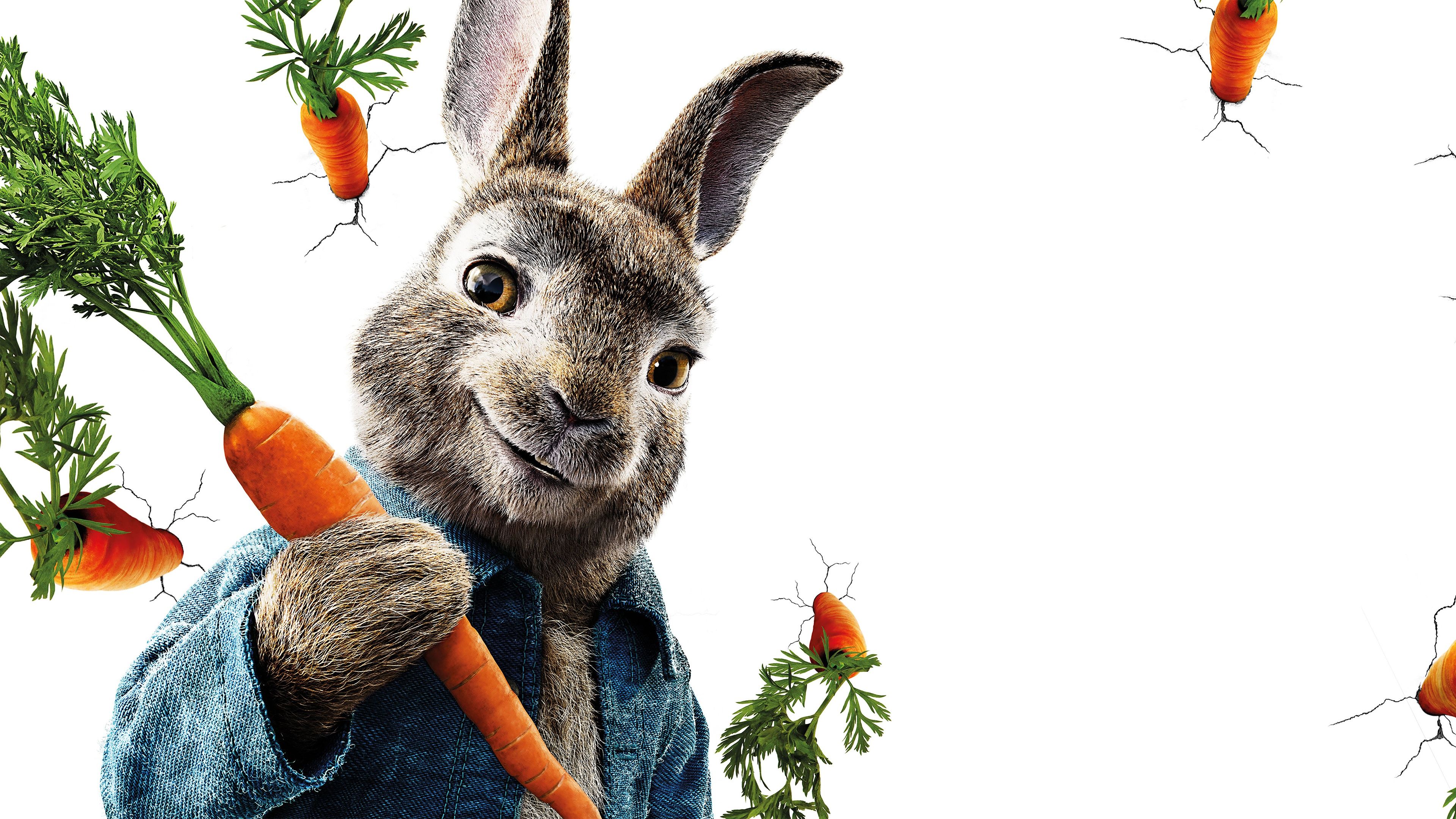 Peter Rabbit 2018 Movie Poster Wallpapers