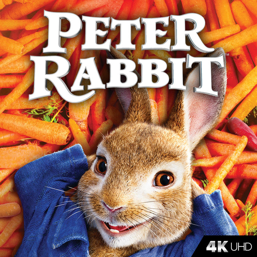 Peter Rabbit 2018 Movie Poster Wallpapers