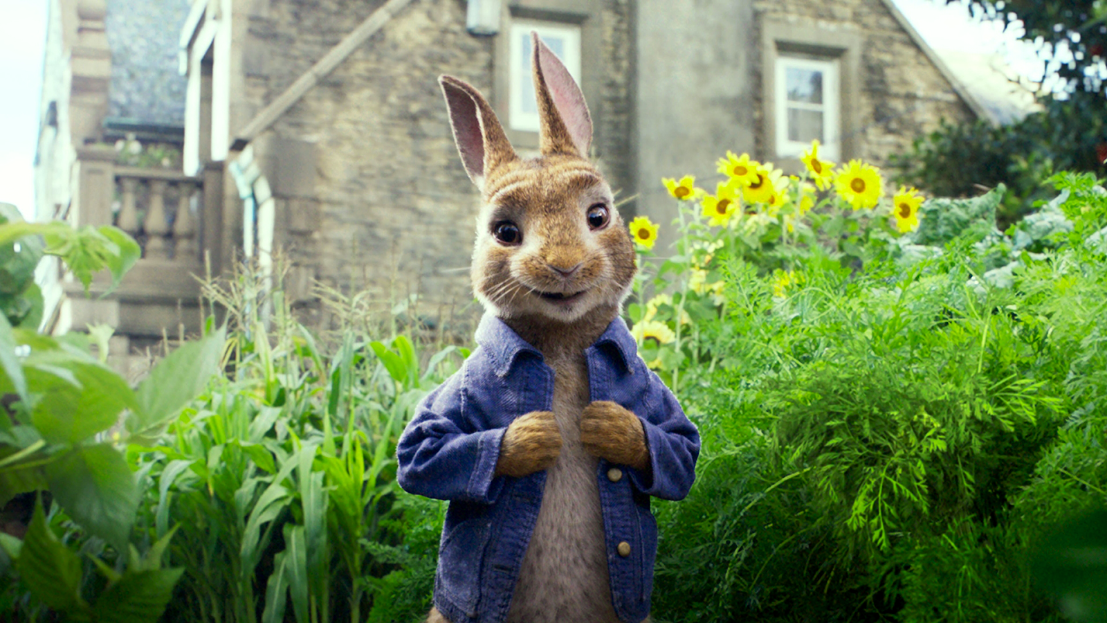 Peter Rabbit 2018 Movie Poster Wallpapers